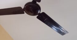 2Bhk Flat Rent Airport